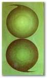 22 -Yin -Yang -Oleo S. Tela -27 x35 -Puntillismo -